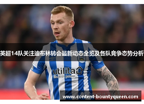 英超14队关注迪布林转会最新动态全览及各队竞争态势分析