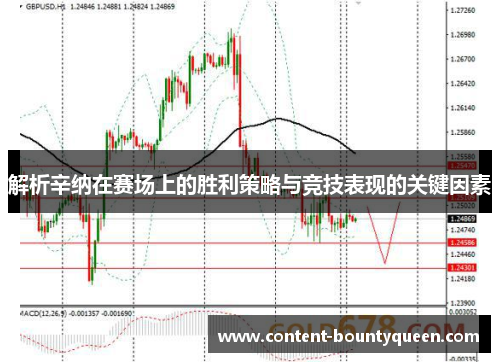 解析辛纳在赛场上的胜利策略与竞技表现的关键因素