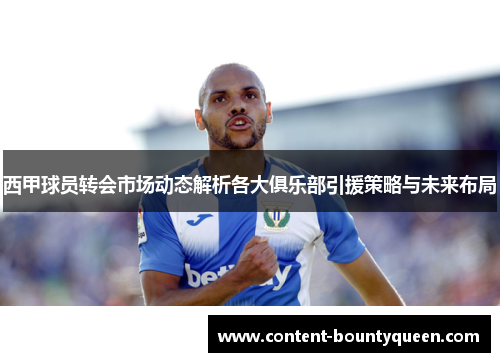 西甲球员转会市场动态解析各大俱乐部引援策略与未来布局 西甲球员转会市场动态解析各大俱乐部引援策略与未来布局