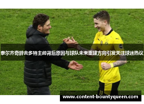 泰尔齐奇辞去多特主帅背后原因与球队未来重建方向引发关注球迷热议