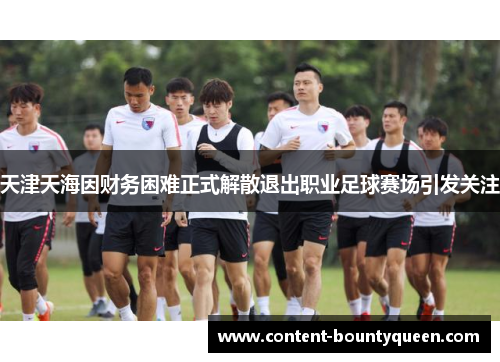 天津天海因财务困难正式解散退出职业足球赛场引发关注 天津天海因财务困难正式解散退出职业足球赛场引发关注